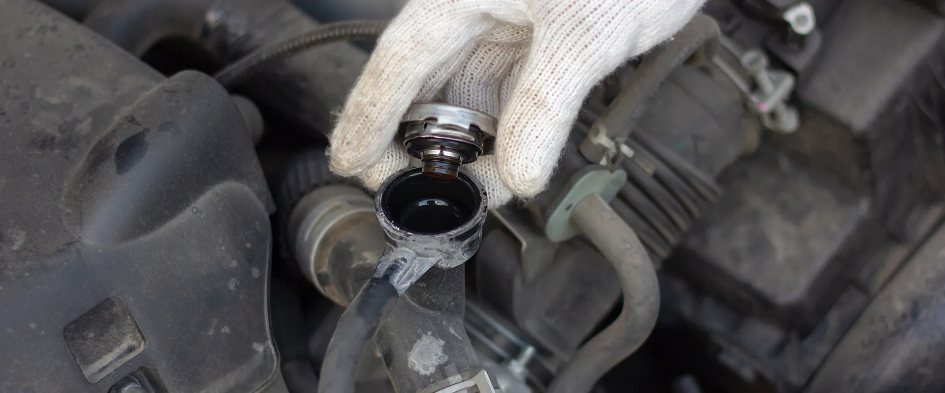 Engine Cooling near Sarasota, FL