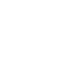 limited lifetime warranty 01