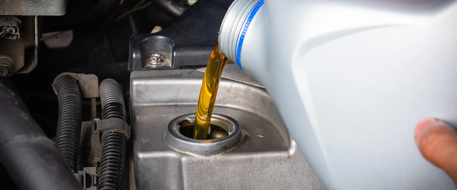 Oil Changes near Sarasota, FL