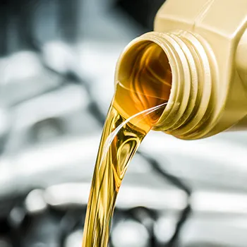 Oil Change in in Sarasota, FL